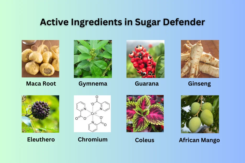 Active-Ingredients-in-Sugar-Defender