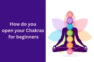 Read more about the article How do you open your chakras for beginners? Unlocking Inner Harmony –  Understanding the 7 Chakras and