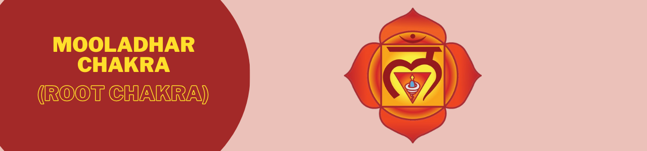 Mooladhar Chakra in Yoga