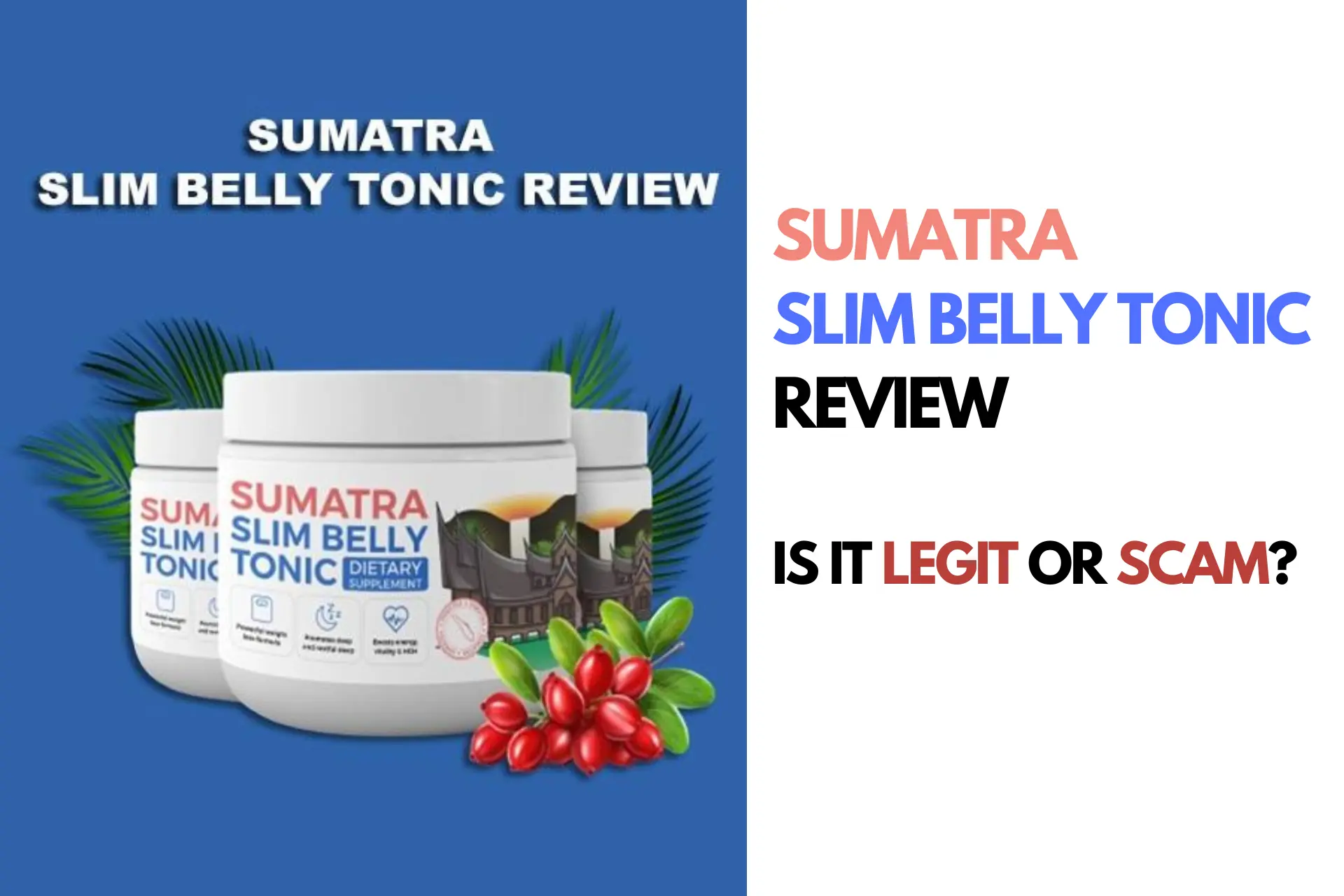 You are currently viewing Sumatra Slim Belly Tonic Reviews 2024 – Is It Legit or Scam? Know before you buy.
