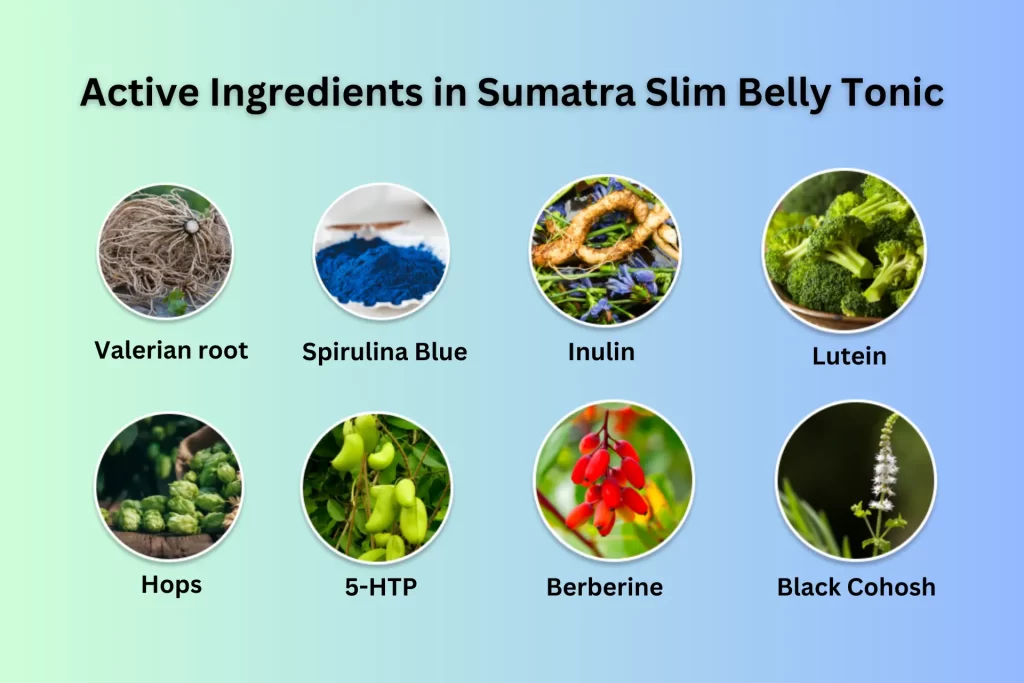 sumatra slim belly tonic ingredients