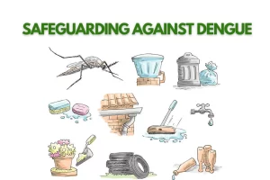 Read more about the article Safeguarding Against Dengue: A Comprehensive Guide to Prevention and Recovery