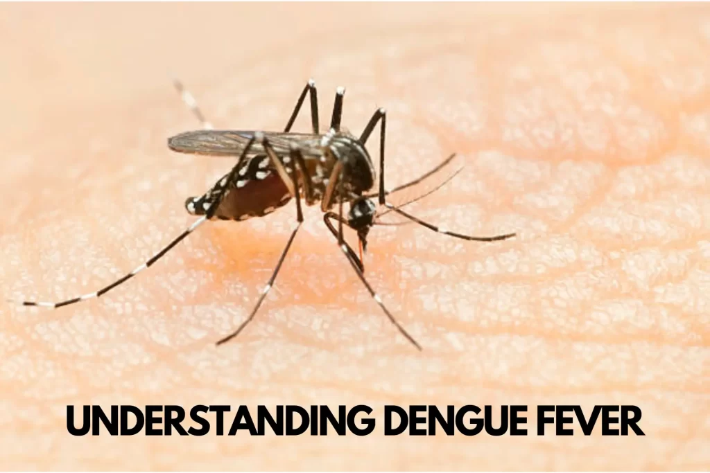 Understanding Dengue Fever