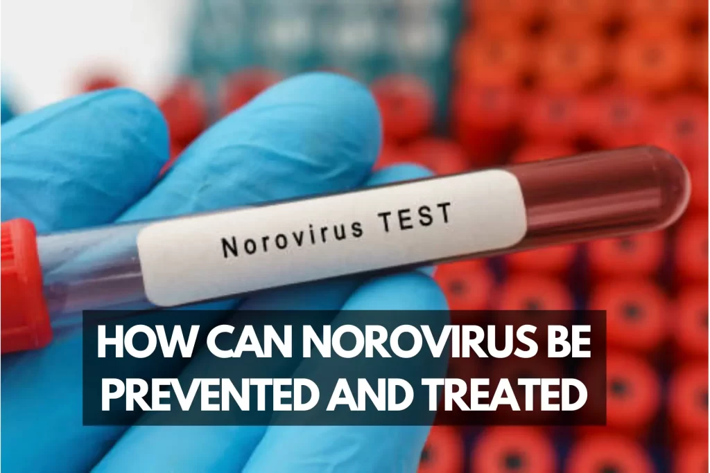 symptoms of norovirus infection