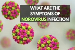 Read more about the article What Are The Symptoms of Norovirus Infection?