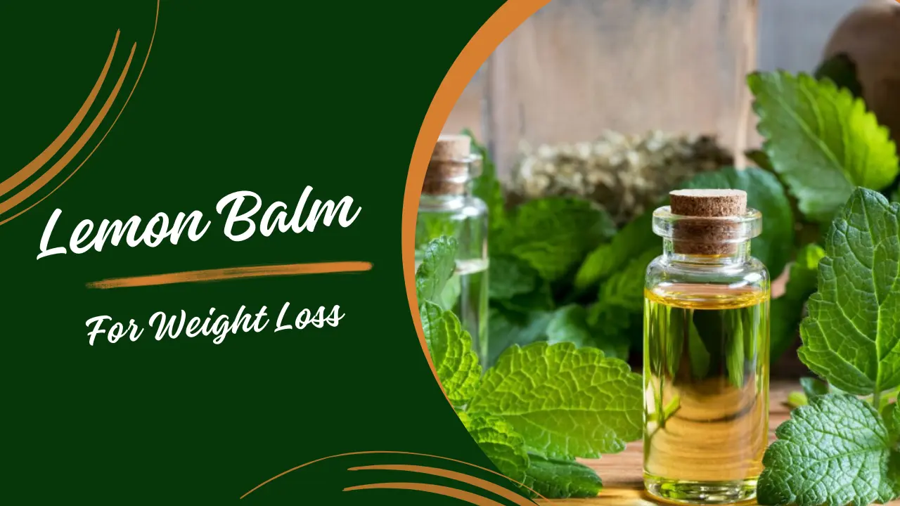 Lemon Balm for weight loss  Benefits