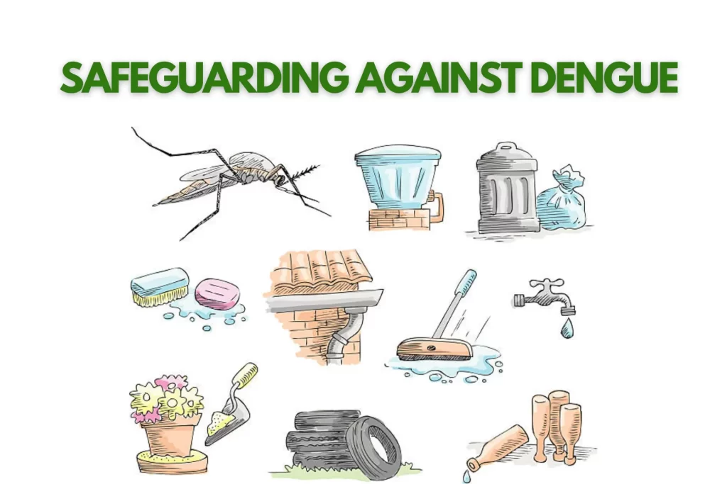 Safeguarding Against Dengue: A Comprehensive Guide to Prevention and Recovery