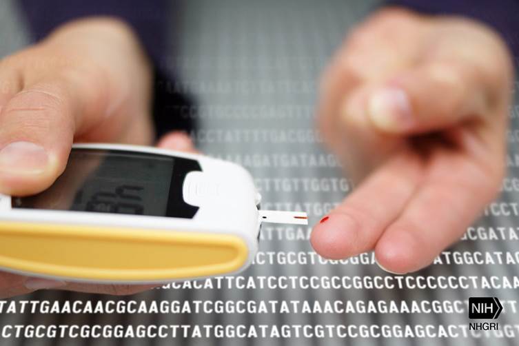 What is the meaning of type 2 diabetes?