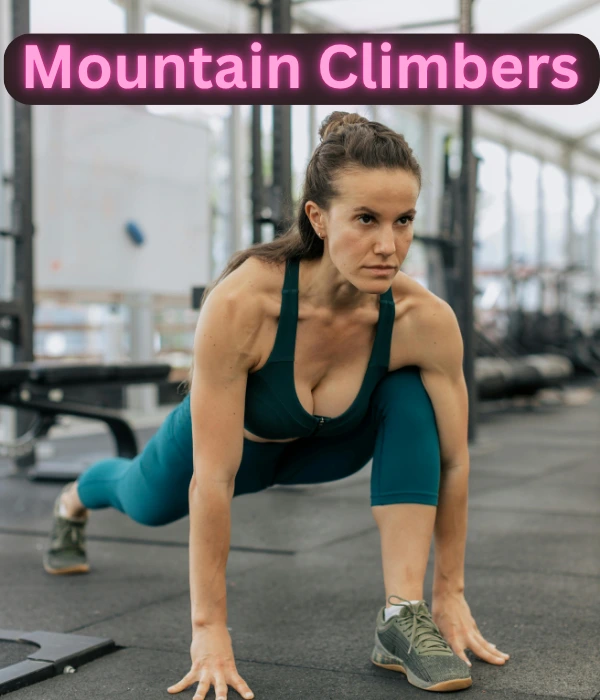 Best Home Workout Mountain Climber