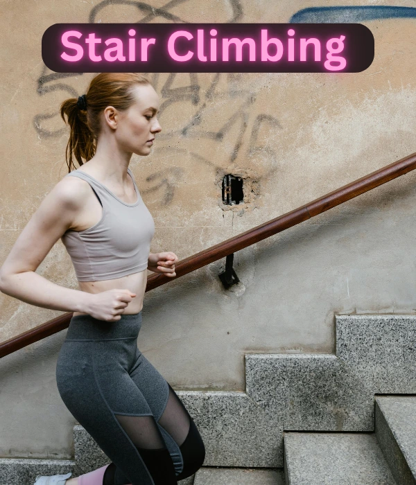 Stair Climbing or Step-Ups